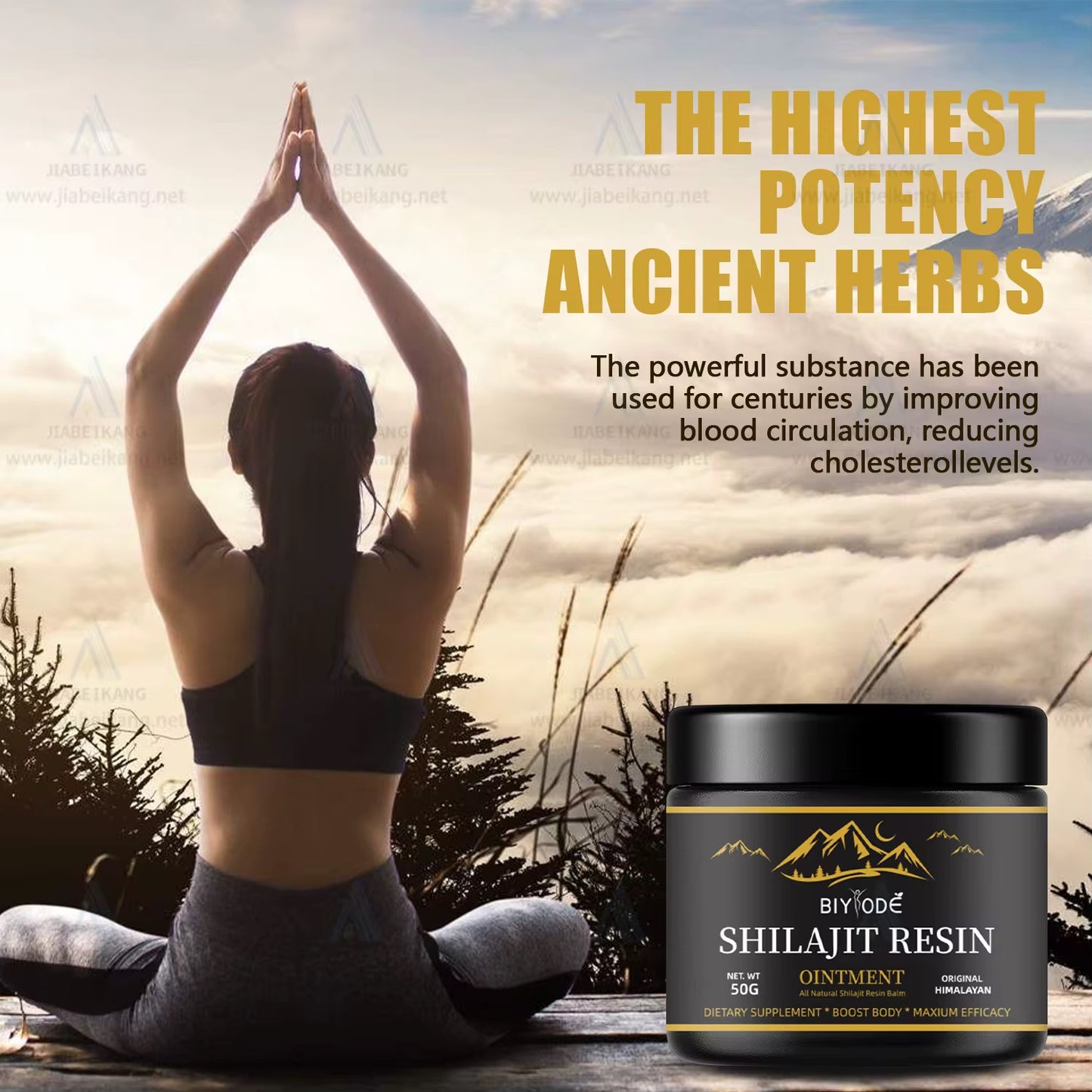 SHILAJIT BIYODE